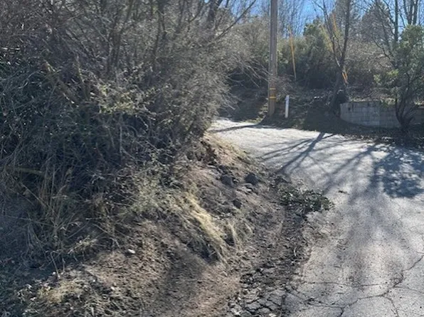 481 Oak Dale Dr Lot 10, Cedar Glen, CA 92321