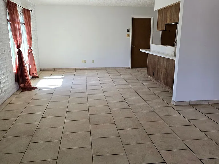 904 E Christmas Tree Ln — Photo 3