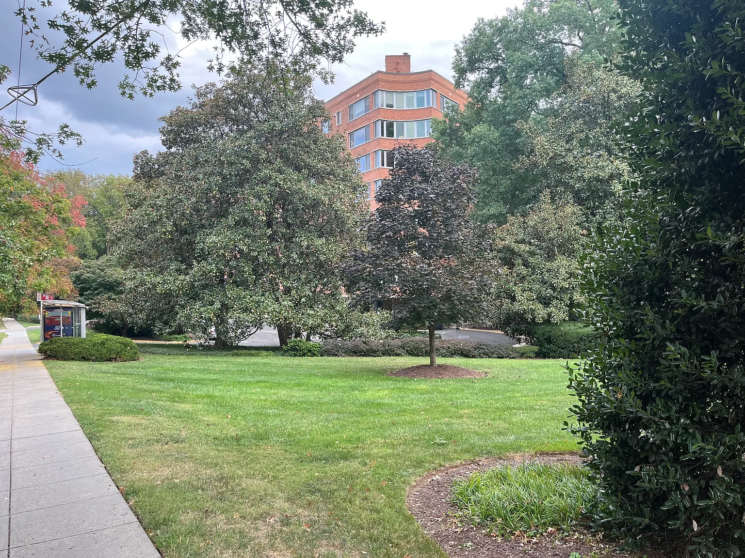 2 bed, 938 sqft, $2,600 — Photo 2