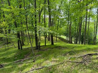 9711 Saint Ives Dr, Stanwood, MI 49346