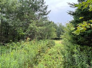 0 Level Green Rd #10, Berkshire, NY 13736