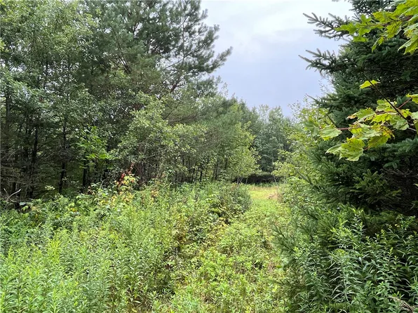0 Level Green Rd #10, Berkshire, NY 13736