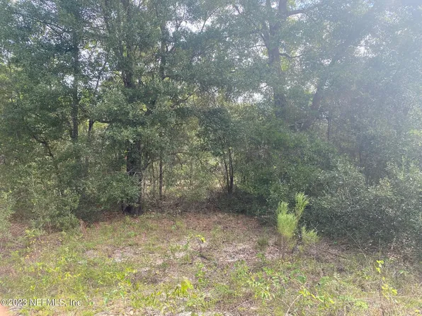 XXX HONEYSUCKLE Trail, Hawthorne, FL 32640