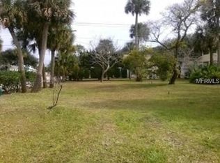 410 N Peninsula Ave, New Smyrna Beach, FL 32169