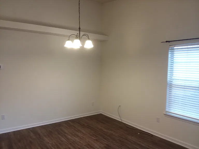 2803 Saw Palmetto Ln — Photo 5
