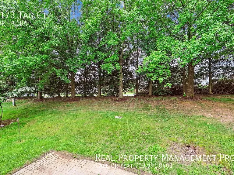 6173 Tag Ct — Photo 4
