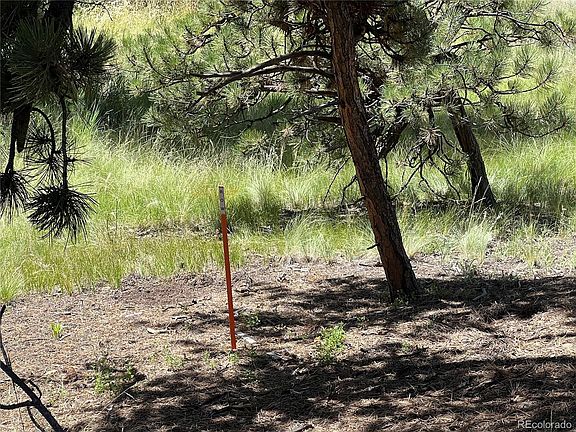 4th image of 207 Monument Lane LOT 17