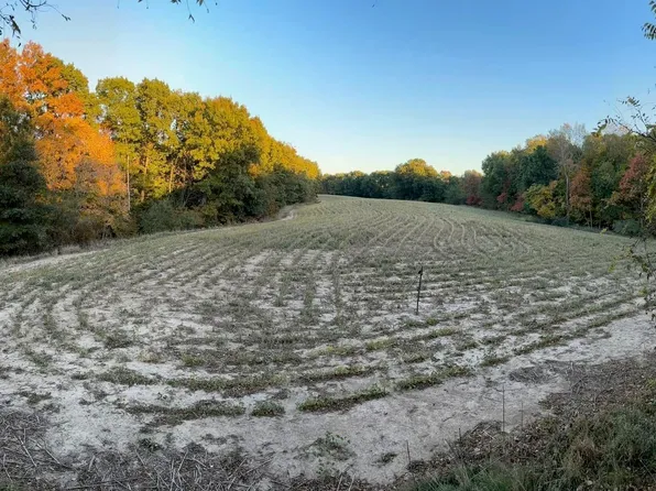 N Tarters Ferry Ln, Smithfield, IL 61477