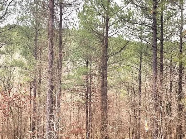 715 Timber Creek Trl, Broken Bow, OK 74728