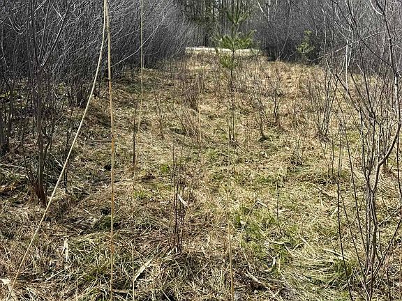 2nd image of Krause Rd
