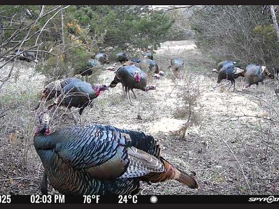 2nd image of 0 Aspen Rd