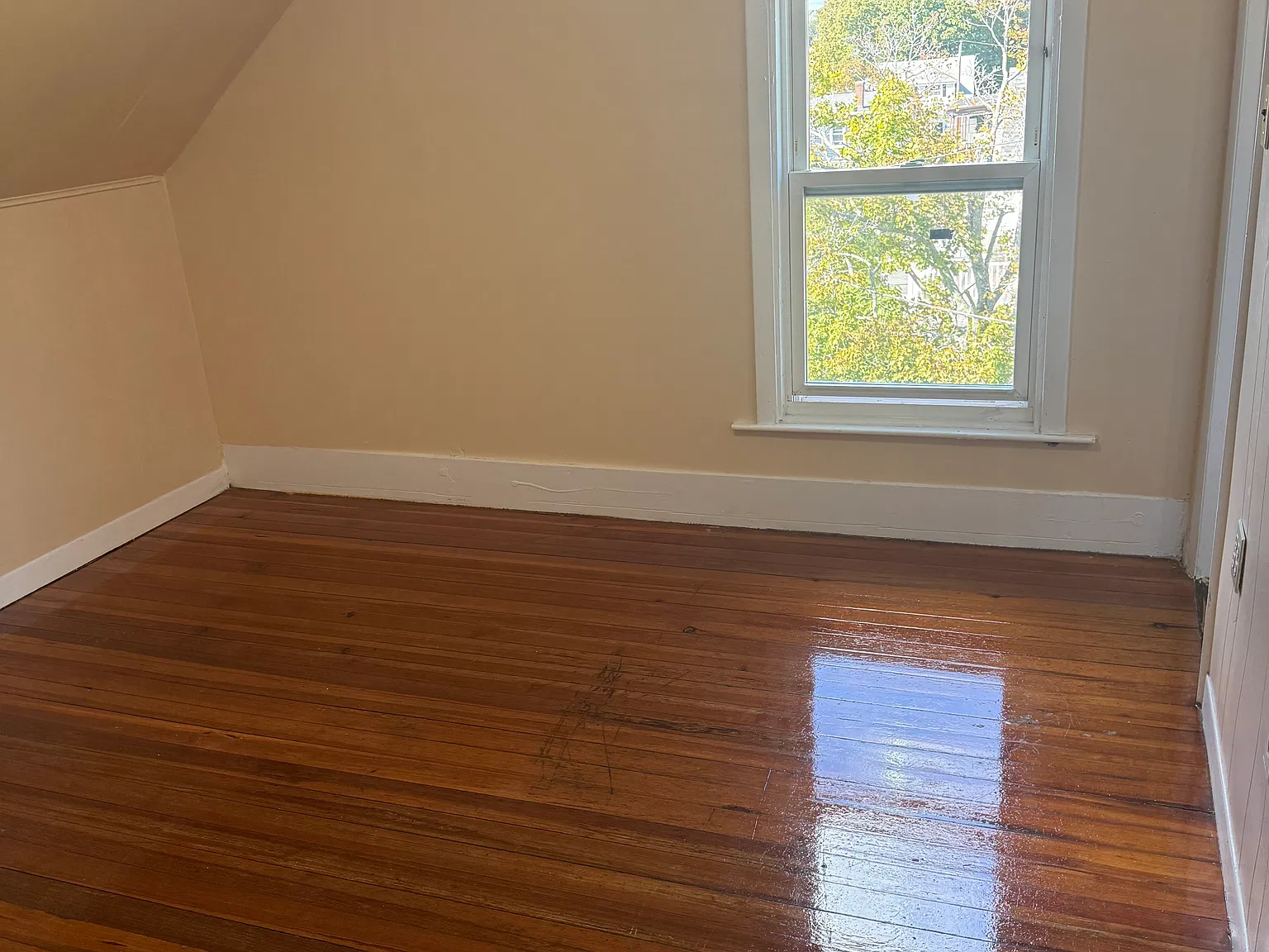 3 bed, 900 sqft, $3,000 — Photo 2