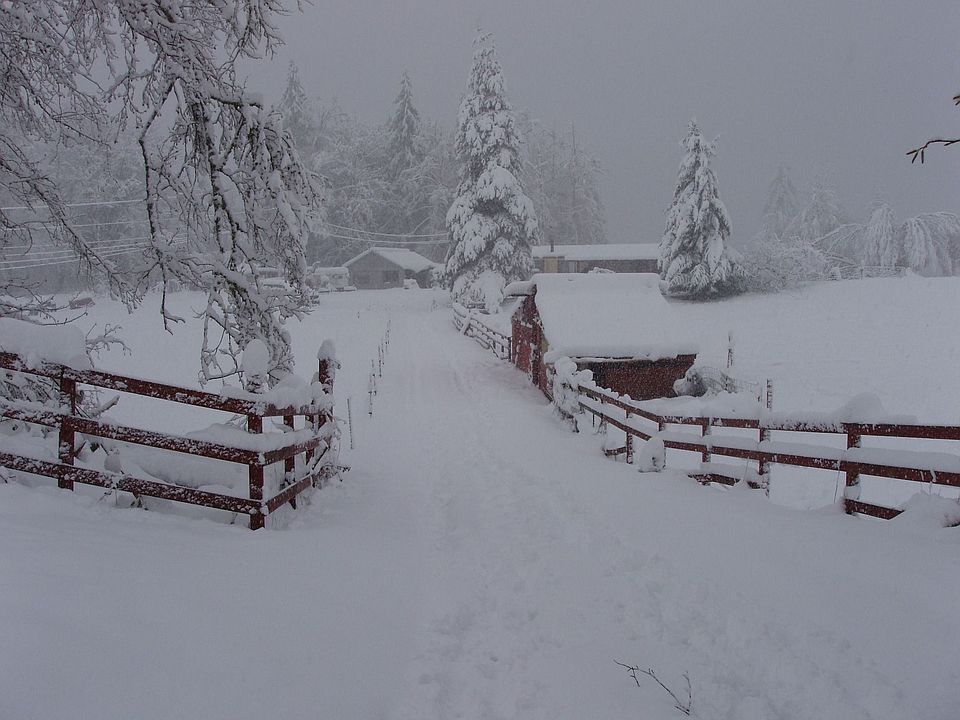 View from road