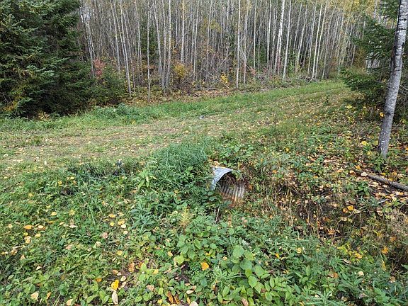 3rd image of Deer River Line