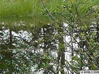 2nd image of 2093 Crooked Finger Rd NE