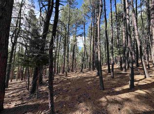 Lot 11 Champions, Angel Fire, NM 87710