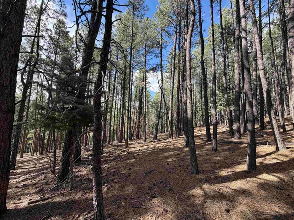 Lot 11 Champions, Angel Fire, NM 87710