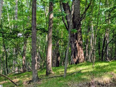 11717 Broken Arrow Ln #226, Stanwood, MI, 49346