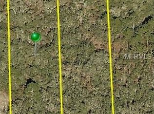 Manuel St, Webster, FL 33597