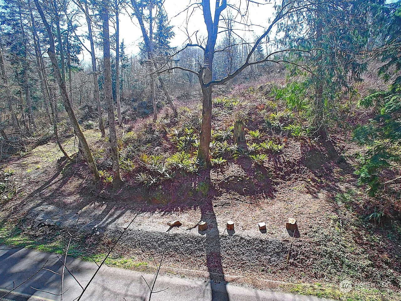 580 Carp Lake Road photo 1