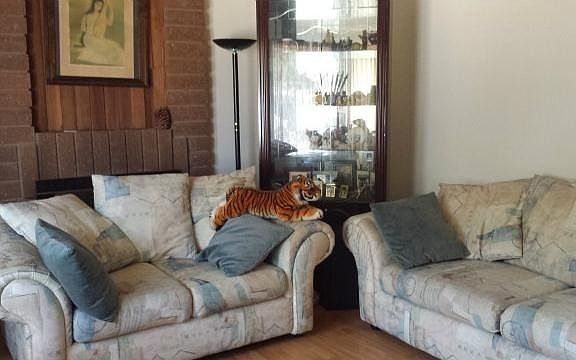 2nd image of 678 Albanese Cir