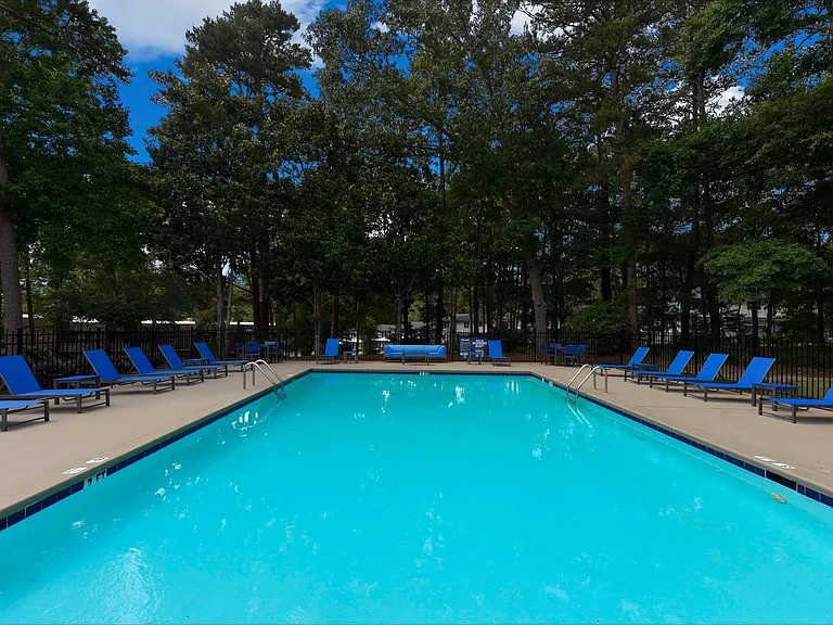 Pool amongst the trees