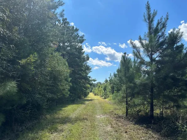 Tbt Early Bird Rd, Manning, SC 29102