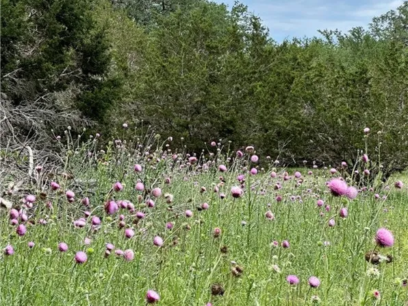 106 Vista Sendero, Blanco, TX 78606