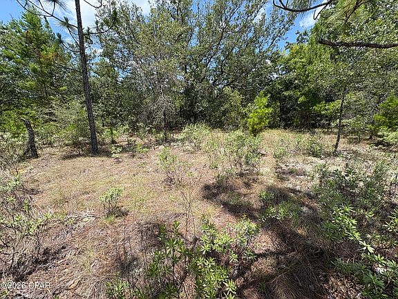 4th image of LOT 2 Challenger Blvd