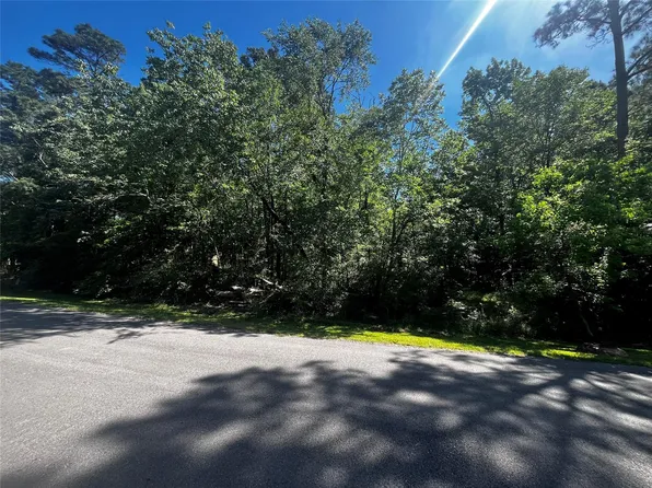 70 Wentworth Ln Lot 20, Coldspring, TX 77331