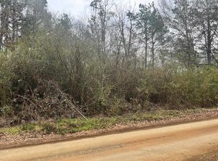 606 County Road 3140, Center, TX 75935