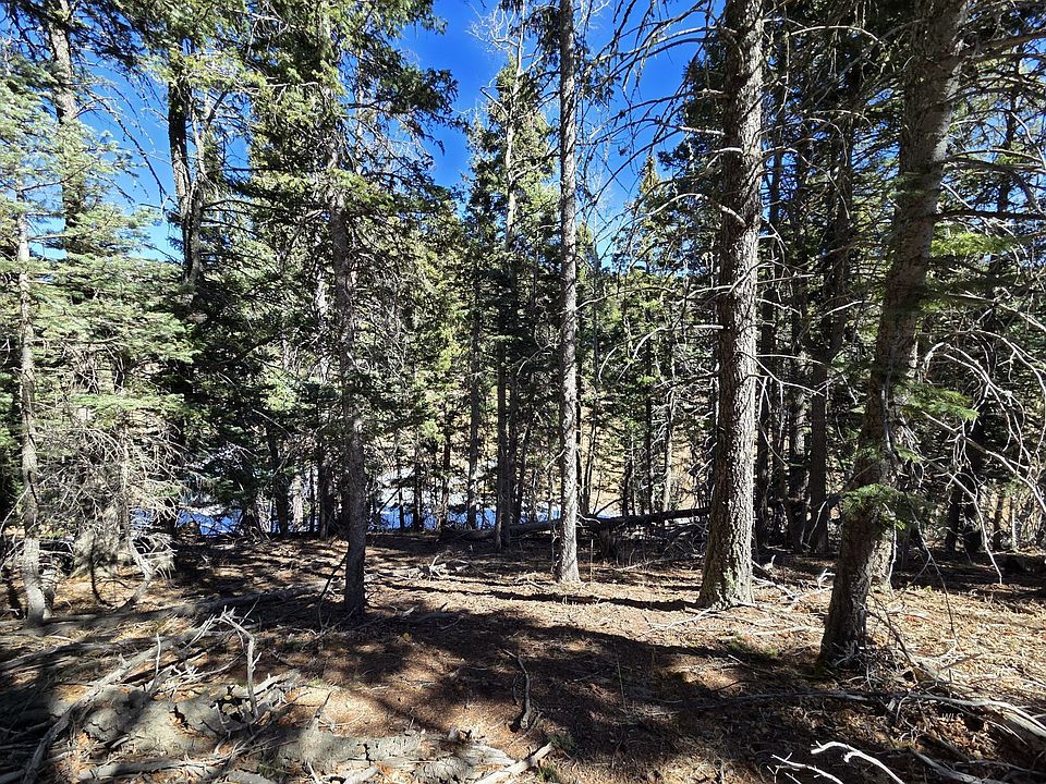 1st image of 142 Simmons Rd