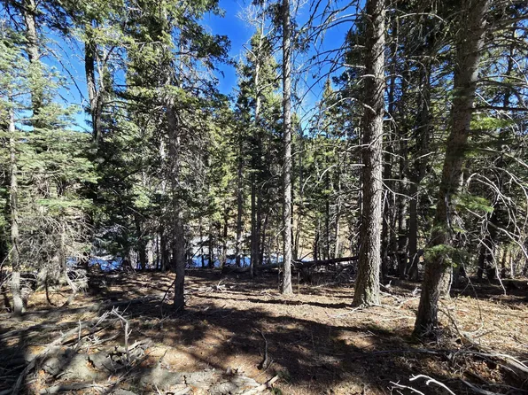 142 Simmons Rd, Rye, CO 81069