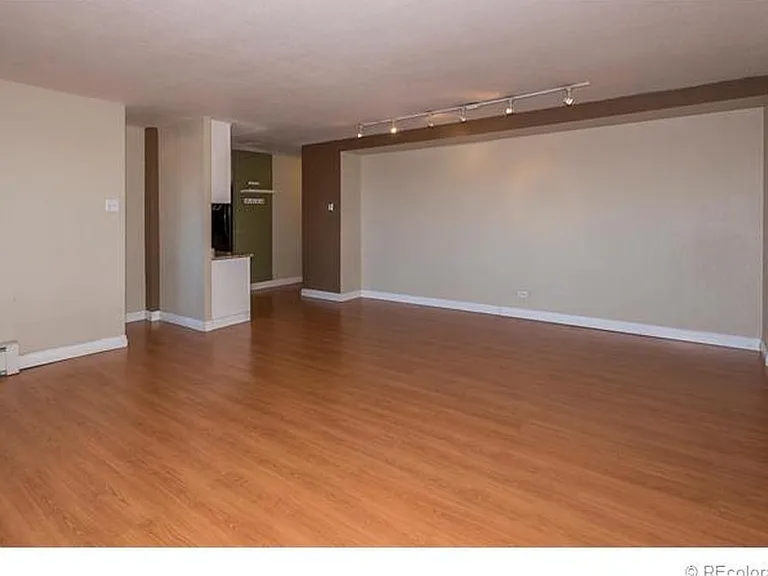 1029 E 8th Ave #303 — Photo 4
