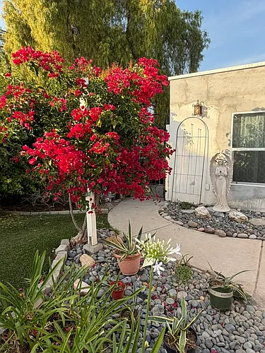278 G St #278 Photo 1