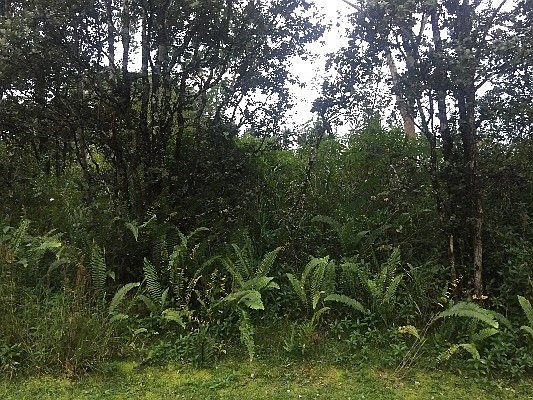 2nd image of 21st Ave Lot 1336