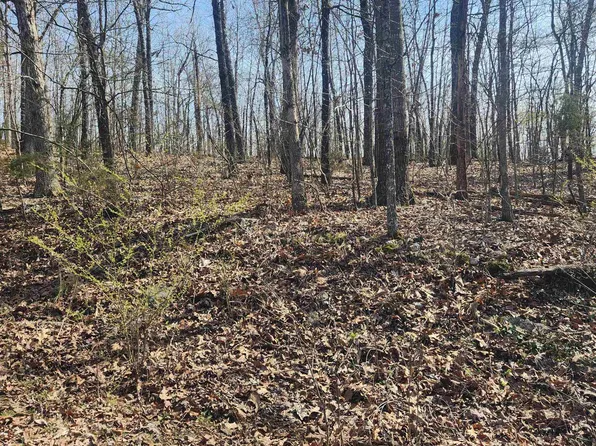 L-4-B Chickasaw Dr #6, Cherokee Village, AR 72529