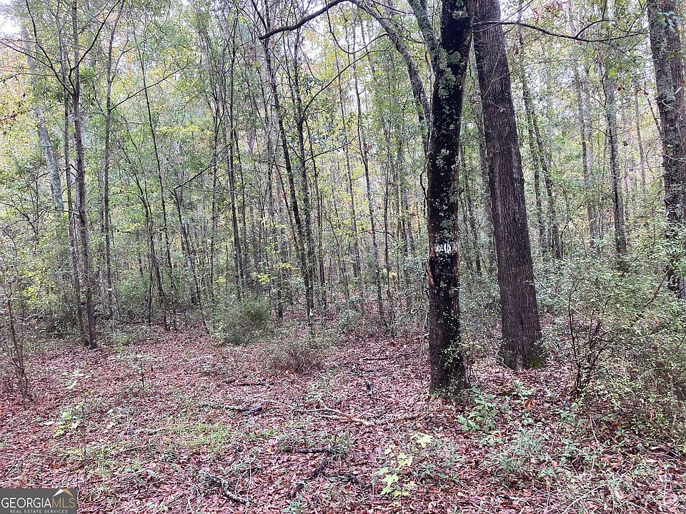 2nd image of 378 Lawton Rd