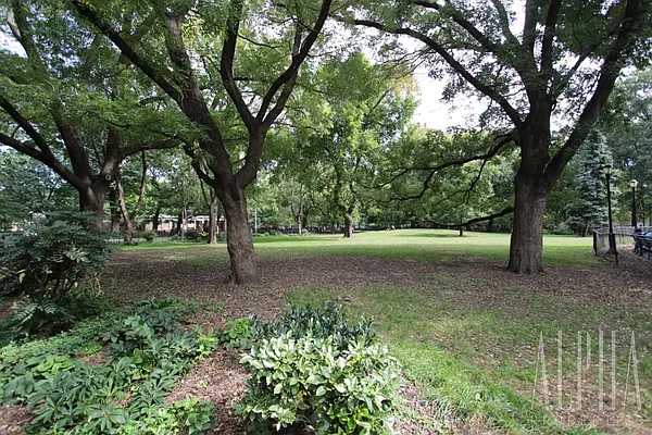 Rented by Alpha Properties NYC I LLC | media 23