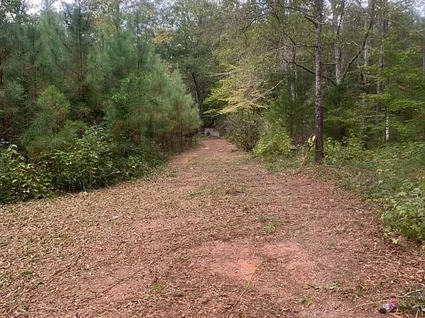 1034 Old Cabaniss Rd, Forsyth, GA 31029