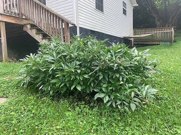 2nd image of 174 Borden St