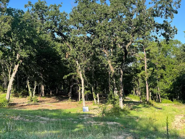 3242 Shadow Pine Dr, Larue, TX 75770