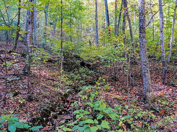 4th image of 6 Dogwood Ridge Rd