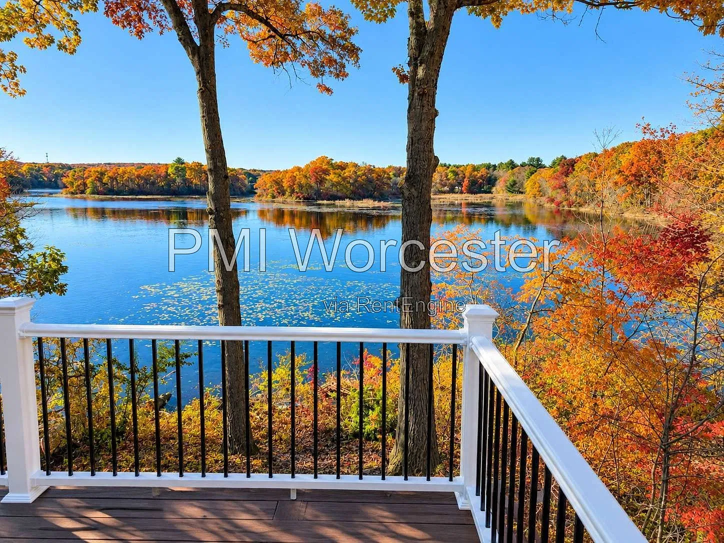 2 bed, 1.0 bath, $2,190 — Photo 3