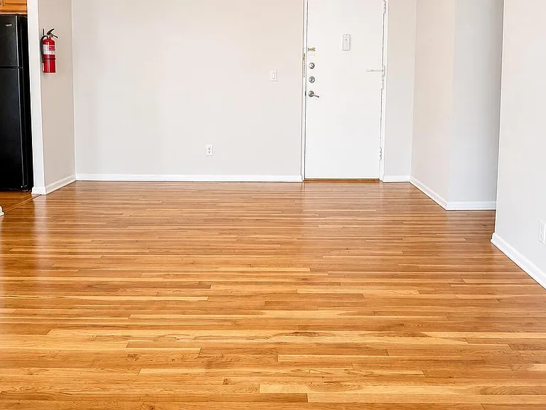 315-317 8th Ave #208 — Photo 8
