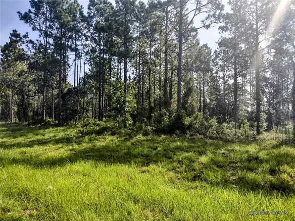 0 SE Highway 337 #48, Morriston, FL 32668