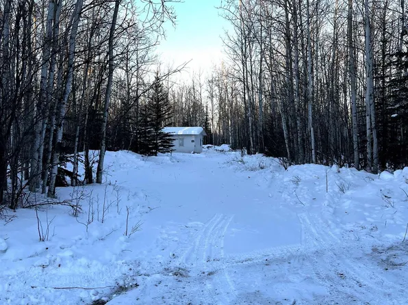 5444 Nome Trl, Delta Junction, AK 99737