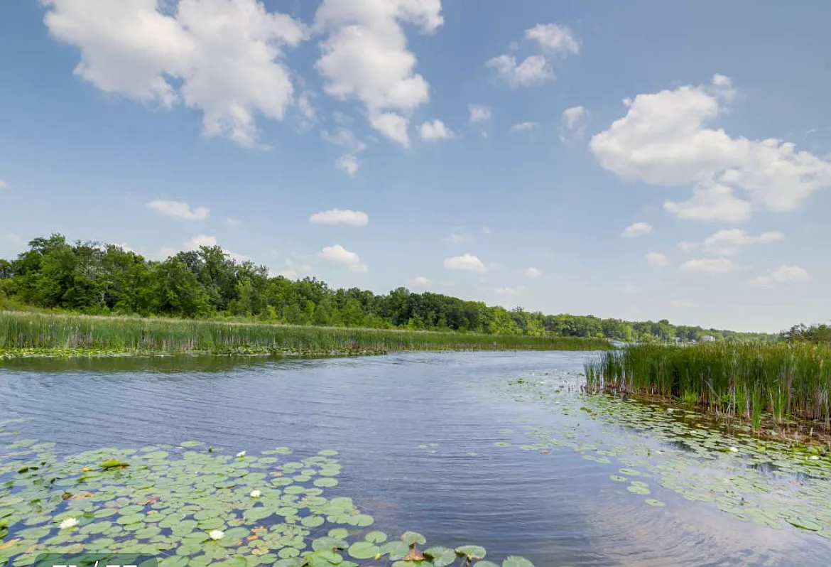 9145 Olcott Lake Dr — Photo 4