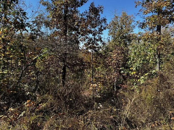 0 Ridge Top Rd Lot 49, Stewart, TN 37175