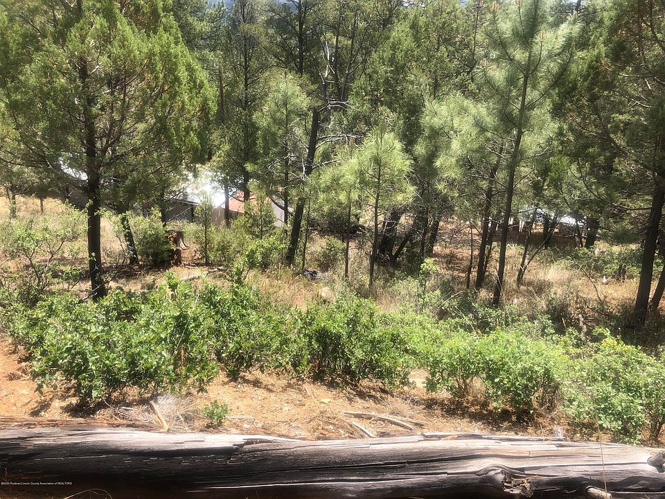 2nd image of 224 Yellow Pine Rd